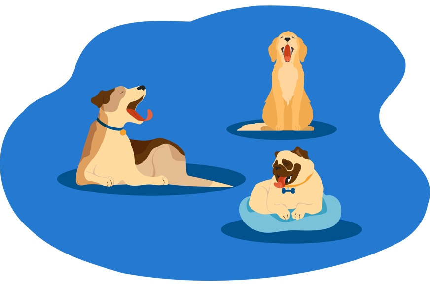 Hunde gähnen